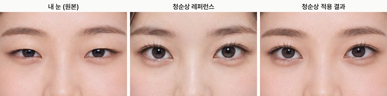 청순상, 원본, 레퍼런스, 결과 비교