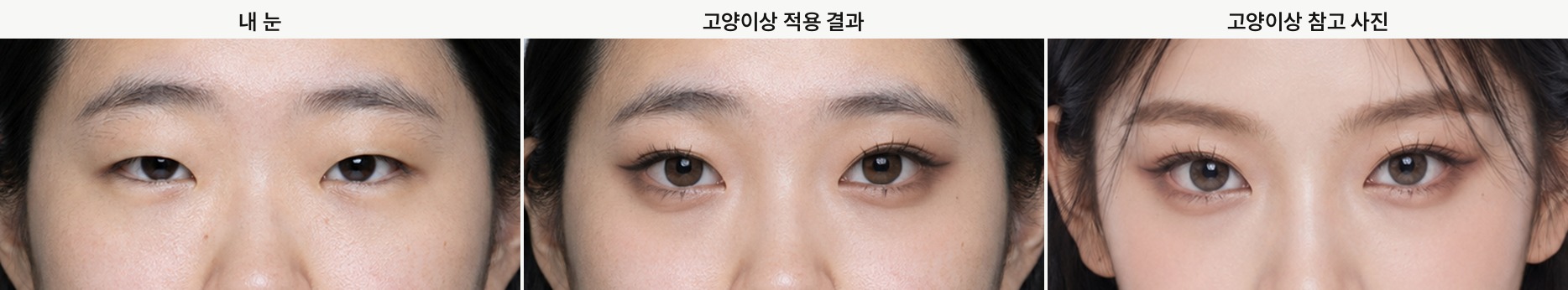 고양이상, 내 눈, 적용 결과, 참고 사진