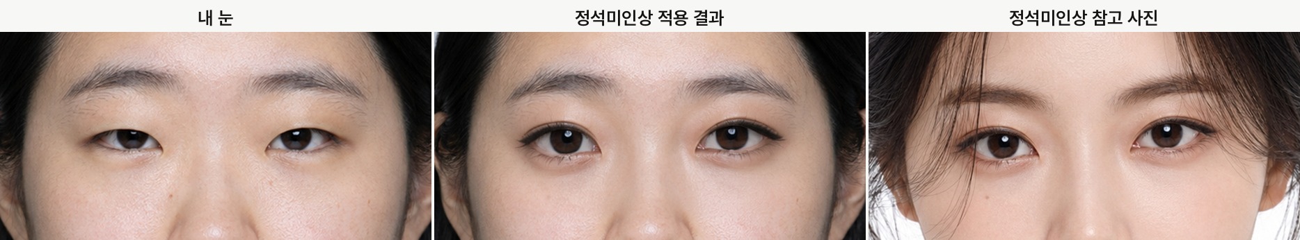 정석미인상, 내 눈, 적용 결과, 참고 사진