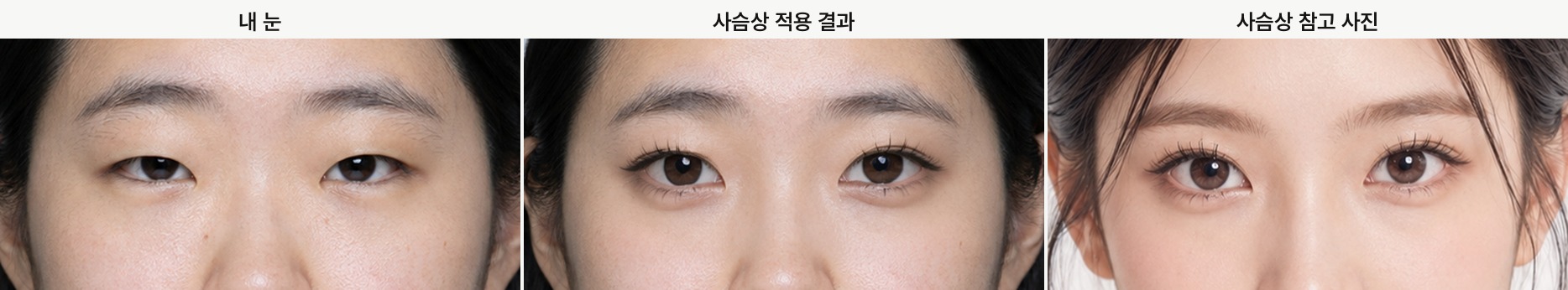사슴상, 내 눈, 적용 결과, 참고 사진