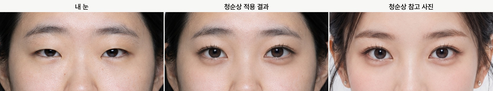 청순상, 내 눈, 적용 결과, 참고 사진