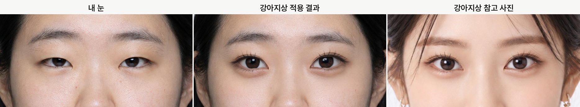 강아지상, 내 눈, 적용 결과, 참고 사진