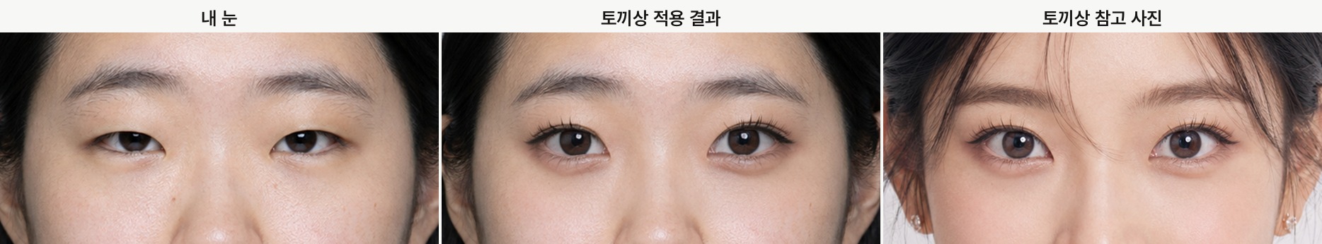 토끼상, 내 눈, 적용 결과, 참고 사진